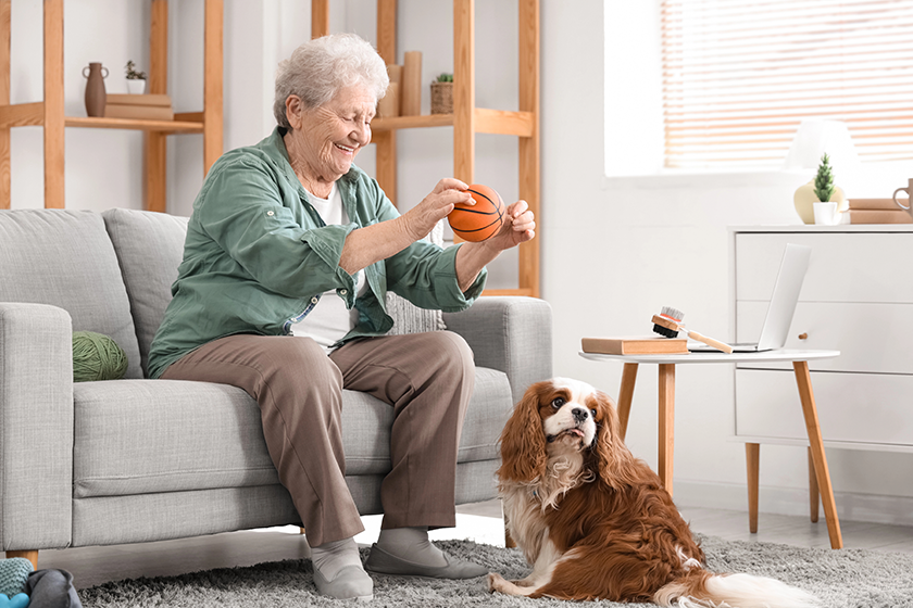 senior-woman-playing-cute-cavalier-king-charles